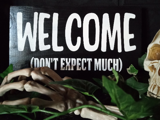 Welcome Don't Expect Much Entryway Sign