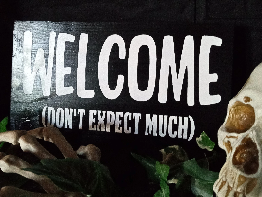 Welcome Don't Expect Much Entryway Sign