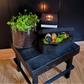 Small Black Altar Stool Plant Stand